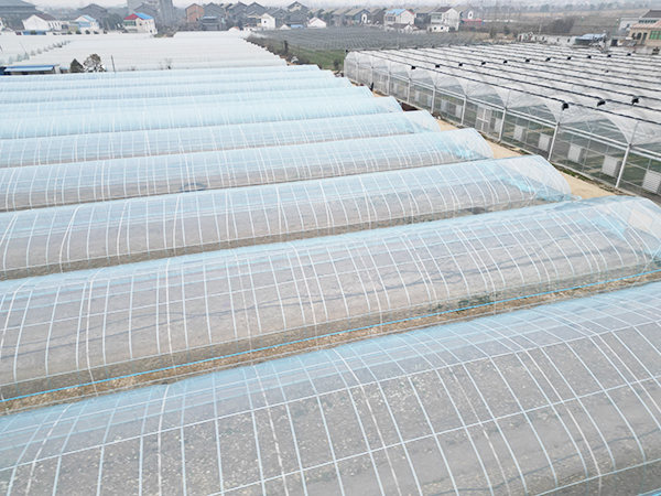 連棟大棚的溫度一般都保持在什么范圍